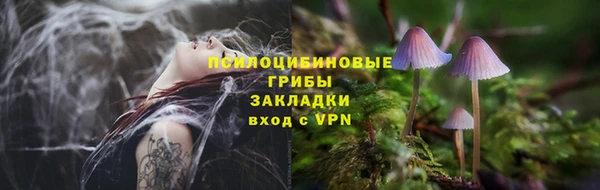 тгк Надым