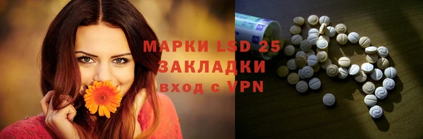 ПСИЛОЦИБИНОВЫЕ ГРИБЫ Бердск