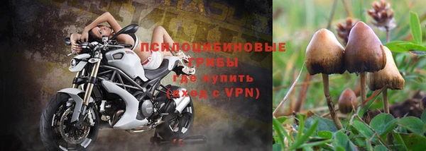 тгк Надым