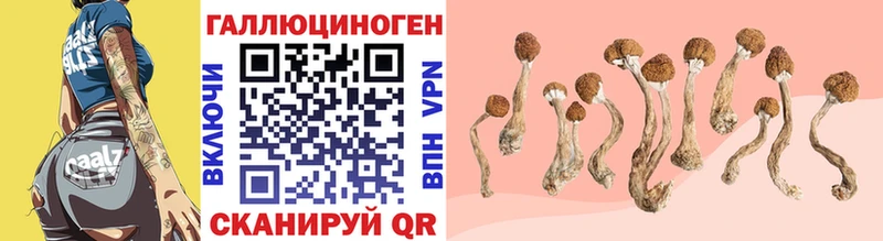 Галлюциногенные грибы GOLDEN TEACHER  OMG tor  Задонск  закладки 